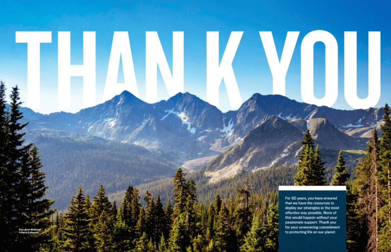 NRDC thank you message for volunteer program annual report