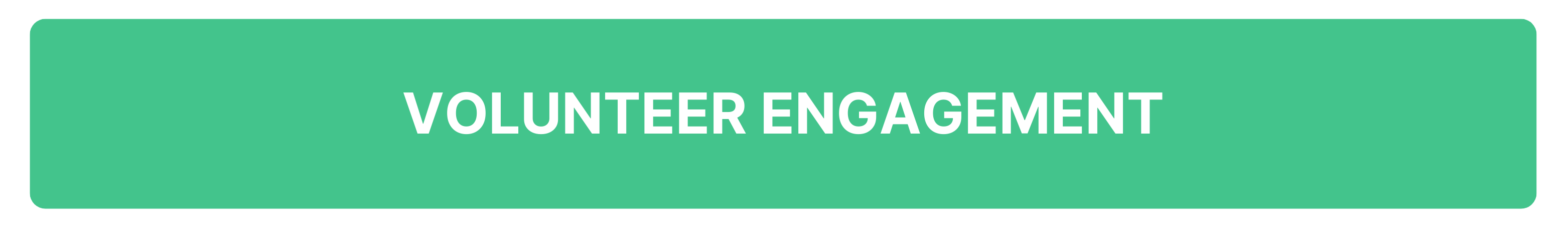 Volunteer Engagement